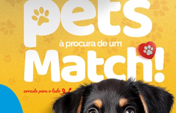 Vem ai a 15a Feira de Adocao de Itapoa 1