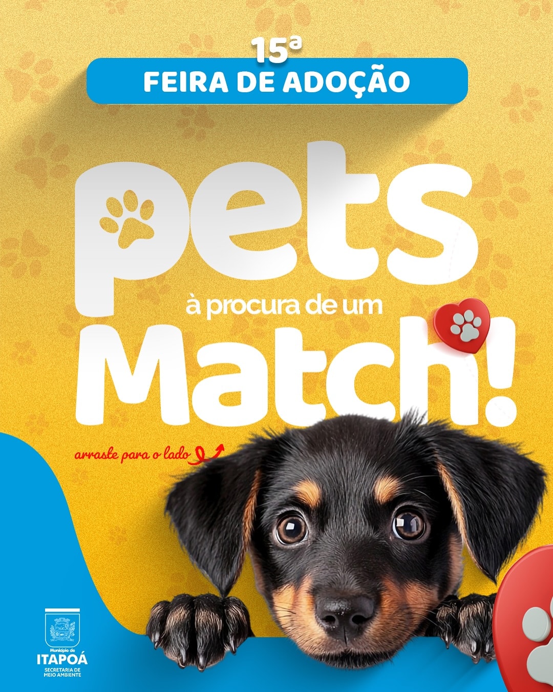 Vem ai a 15a Feira de Adocao de Itapoa 1