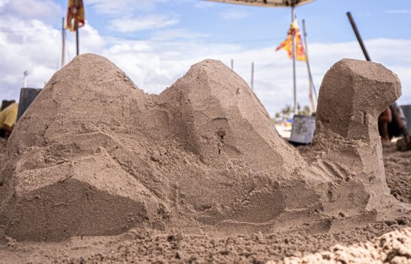 Exposicao gratuita sobre arte e meio ambiente inicia dia 17 de marco em Itapoa 3 (Tribuna de Itapoa)