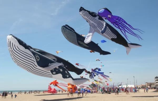 Riviera Santa Maria sediará evento internacional de pipas gigantes 4