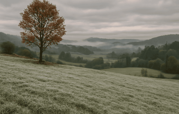 Santa Catarina registra passagem de frente fria e primeiro declinio de temperatura do outono - Capa Tribuna de Itapoa