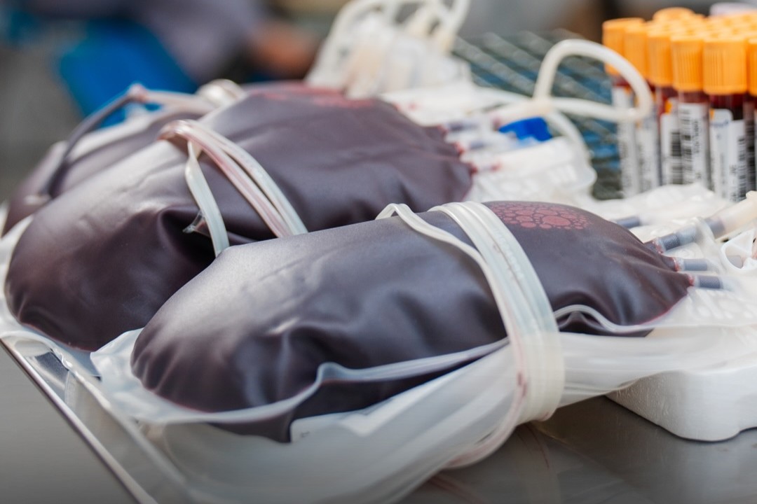 Acao conjunta arrecada 60 litros de sangue em Itapoa - Capa Tribuna de Itapoa