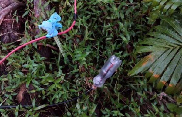 Incêndio atinge residencia de madeira em Itapoa e mobiliza Corpo de Bombeiros 1