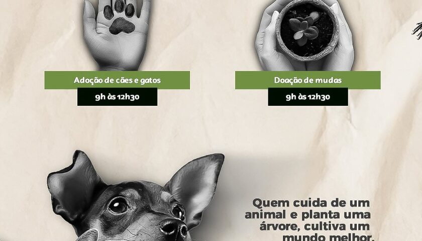 Itapoa promove Semana do Meio Ambiente com programacao gratuita de 2 a 7 de junho 3