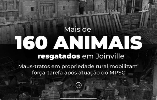 Mais de 160 animais sao resgatados de propriedade rural em Joinville apos denuncia 1