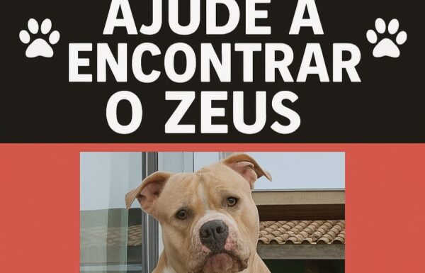 Procura-se Zeus 5 - Capa Tribuna de Itapoa