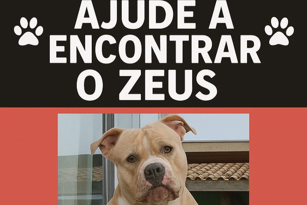 Procura-se Zeus 5 - Capa Tribuna de Itapoa