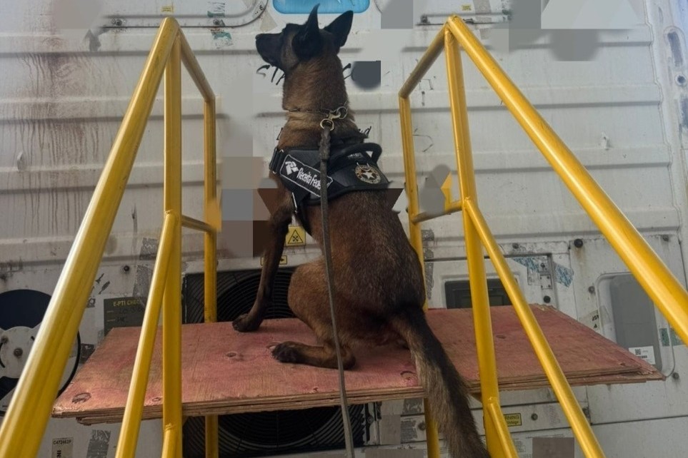 Receita Federal apreende 17 kg de cocaina com ajuda de cao farejador no Porto Itapoa - Capa Tribuna de Itapoa