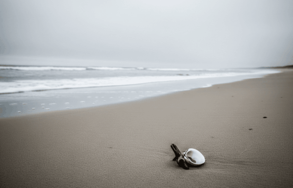 Corpo de homem encontrado na praia em Itapoa - suspeita de afogamento - Capa Tribuna de Itapoa