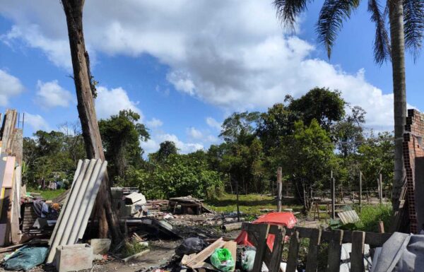 Operacao identifica ocupacoes irregulares e possiveis crimes ambientais no Samambaial 1