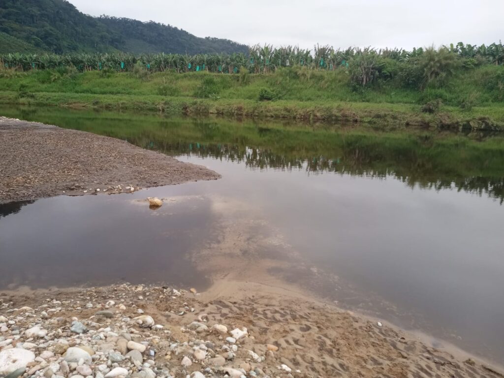 Bombeiros buscam homem desaparecido em area de mata em Garuva 14