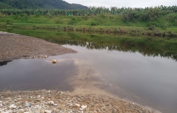 Bombeiros buscam homem desaparecido em area de mata em Garuva 14